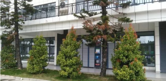 石家莊學機器人技術應用該去哪？