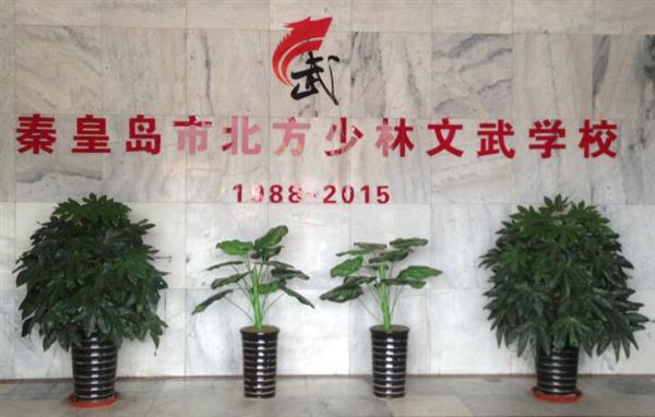 秦皇島北方少林文武學(xué)校就業(yè)如何？這答案你放心！