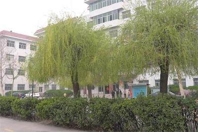 保定哪所正規(guī)的學校有鐵路專業(yè)？   
