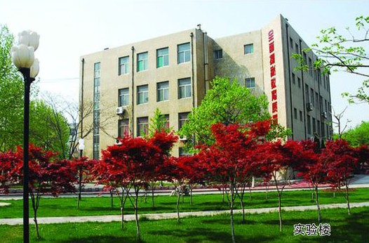 淄博市工業(yè)學(xué)校開(kāi)設(shè)哪些計(jì)算機(jī)課程？