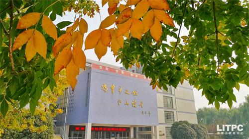 洛陽學(xué)電子商務(wù)去哪里？學(xué)電子商務(wù)去洛陽哪所學(xué)校？