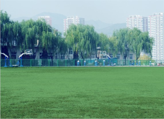 青島滿天星職業(yè)培訓(xùn)學(xué)校怎么樣？