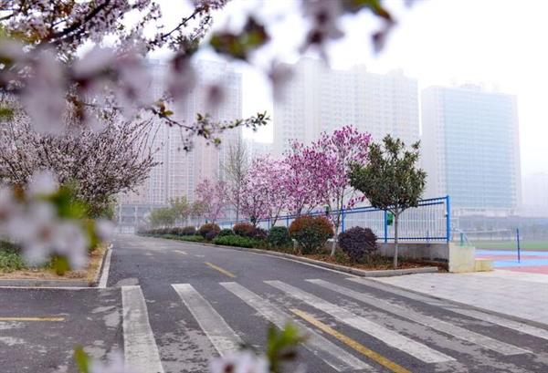 河北大學新世紀函授站成人高考輔導班怎么樣？