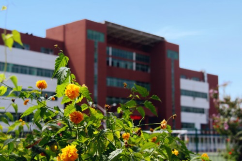 通過單招考取大學(xué)有哪些優(yōu)勢(shì)？