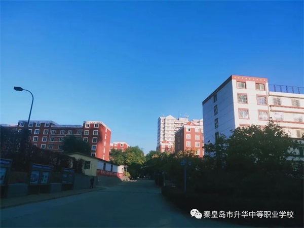 秦皇島市升華中等職業(yè)學(xué)校有電子商務(wù)專業(yè)嗎？