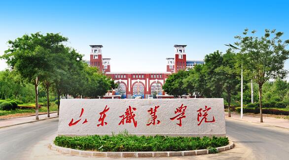 山東職業(yè)學(xué)院有哪些教學(xué)成果？