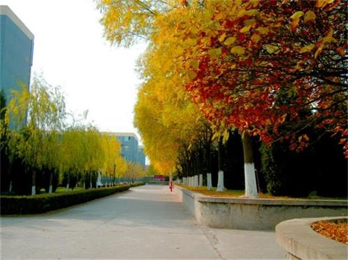 北京現(xiàn)代體育學院、航空乘務學院設施好嗎？