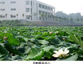 鄭州澍青醫(yī)學(xué)高等?？茖W(xué)校